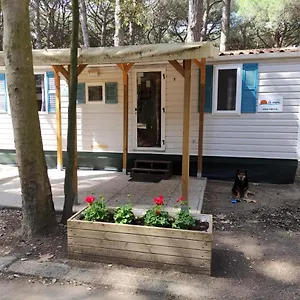 Mipro Mobilhome 5 Ferienhaus